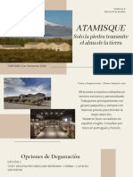 ATAMISQUE - Tarifario Agencias (1er semestre 2020)