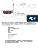 Basalto PDF