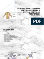 Tejido nervioso (Sistema nervioso central y Sistema.pptx