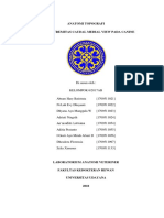 Regio Extremitas Caudal Medial View Pada Canine Fix PDF