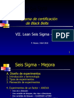 Lean Sigma BB Mejora B