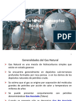 Gas Natural Generalidades