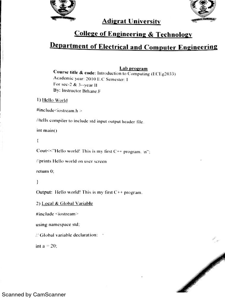 C++ Worksheet $ Assignment | PDF