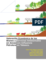 Valoracion Economica de Bienes y Servicios Ambientales