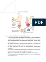 METABOLISME LIPID DAN DEGRADASI LEMAK