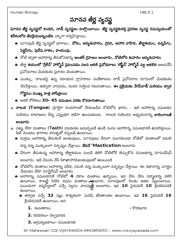 Telugu Digestive System | PDF