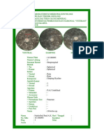 ORBUlinaa PDF