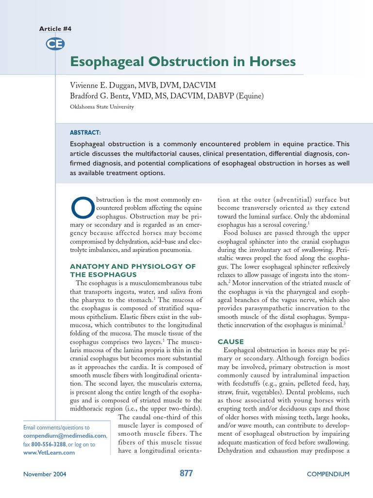 Equine Esophageal Obstruction | PDF | Esophagus | Gastroenterology