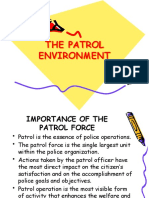 The Patrol Environment