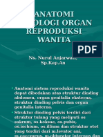 Anatomi Fisiologi Organ Reproduksi Wanita