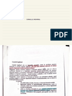 Untitled PDF
