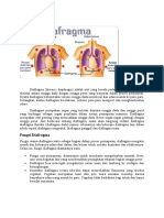 Diafragma Dan Otot