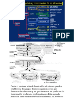 Material Estudiantil PDF