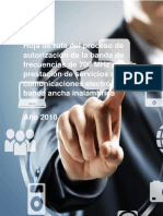 Hoja de Ruta Segundo Dividendo Digital PDF