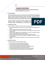 Training Syllabus - Internal Audit PDF