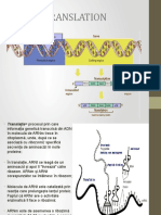 Metabolismul Acizilor Nucleici