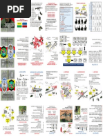 13 Disciplinas del MTRR en Venezuela | PDF | Ciencia militar | Militar