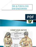 TOPIK 5 Fisiologi Endokrin