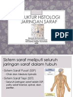Histologi SSP PDF