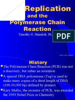 Powerpoint Dna Replication PCR