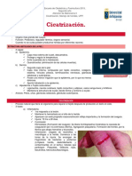 Cicatrización PDF