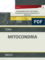 PRESENTACIÓN mitocondrias