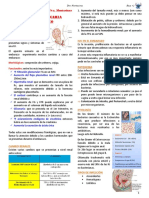 3 Infeccion Urinaria y Embarazo PDF