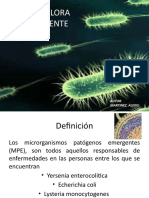 microflora emergente.pptx