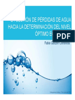 4-tecnica-aya-fabio-grazon-consultor-120710092145-phpapp02.pdf