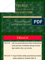 2.-Triage-System