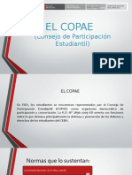 RESUMEN COPAE Facilitador