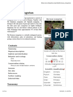 Orangutan PDF