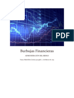 Informe de Burbujas Financieras