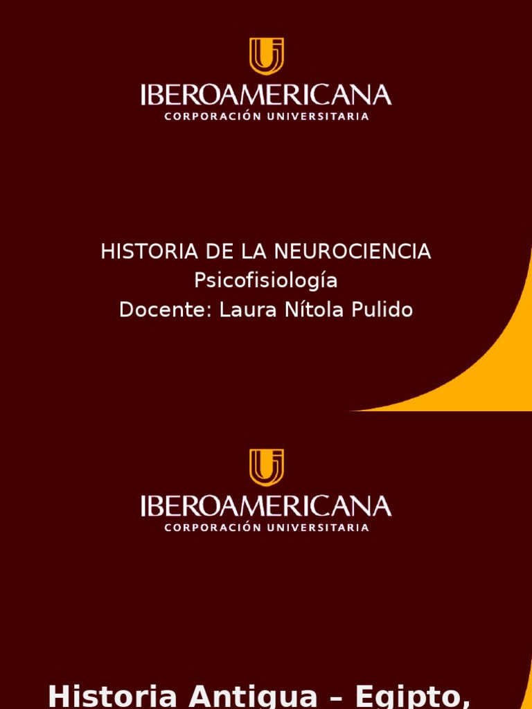 Historia de La Neurociencia | PDF | Cerebro | Neurociencia