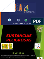 SUSTANCIAS PELIGROSAS.pptx
