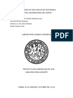informe final biodep.pdf