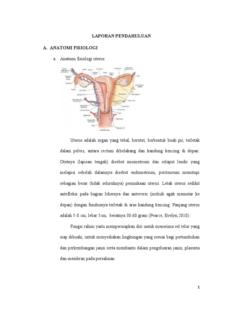 Laporan Pendahuluan Abortus Inkomplit | PDF