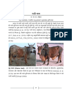 Rathi Cow