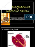 14 - EKG-kegawatan