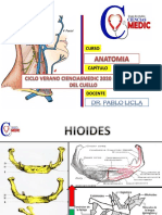 Region Anterior de Cuello - Cienciasmedic 2020 DR Pablo Licla PDF