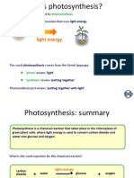 photosynthesis-ilovepdf-compressed