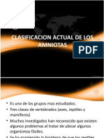 Clasificacion Actual de Los Amniotas