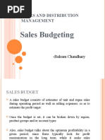 Sales Budgeting: Sales and Distribution Management
