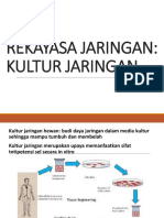 Kultur Jaringan Hewan