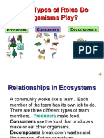 What Types of Roles Do Organisms Play-2