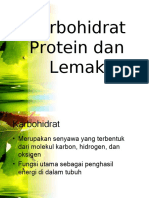 Dokumen - Tips - Karbohidrat Protein Dan Lemakppt