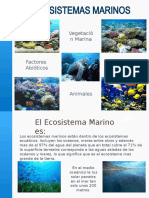 Presentacion Ecosistema Marino