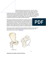 Pa Tho Physiology