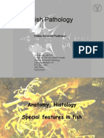 Fish_Pathology_-_Anatomy_Histology.pdf