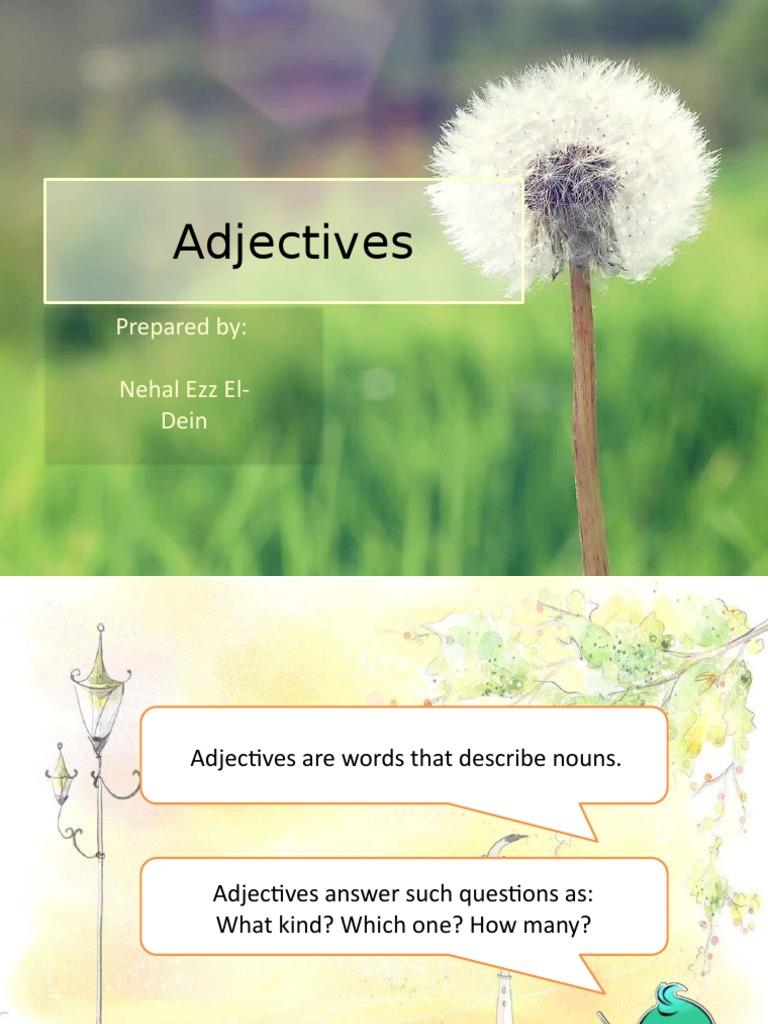 Understanding Adjectives and Their Types | PDF | Adjective | Noun